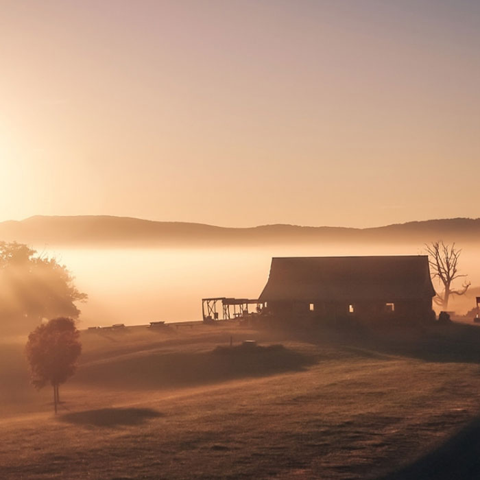 Hey Pandas, Post Fog Pictures You’ve Taken (Closed)