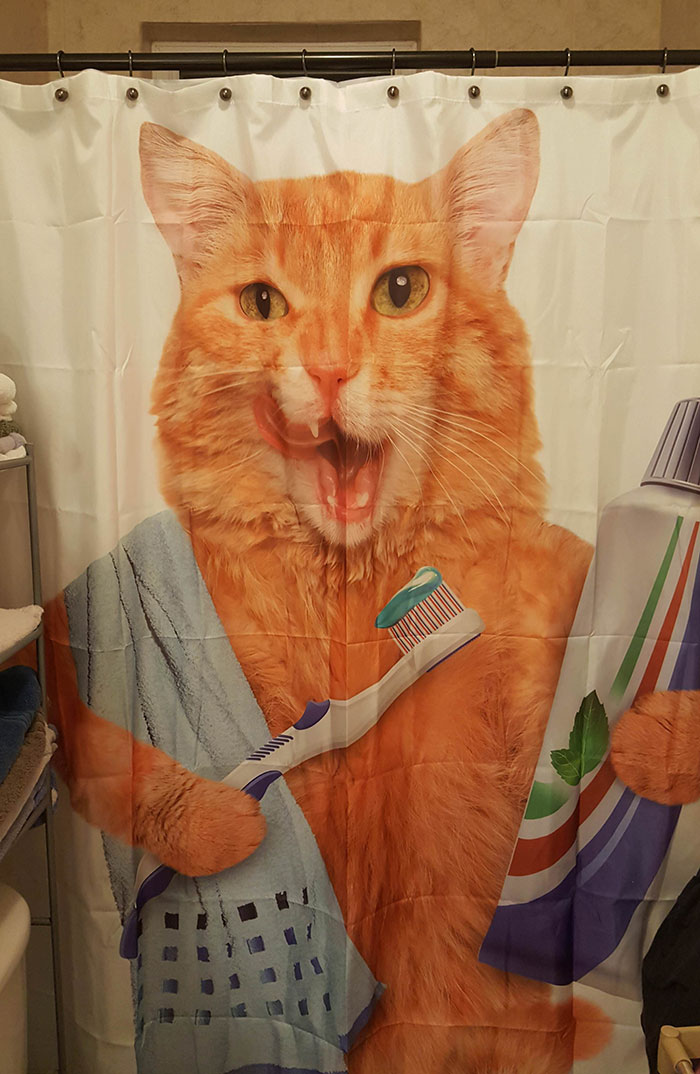 The Wife Doesn't Approve Of The Shower Curtain I Picked Out