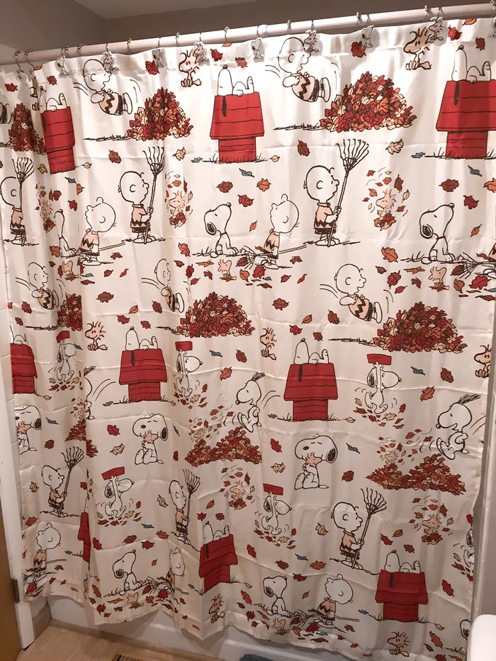 Shower Curtains To Spice Up Your Bathroom, Peanuts Fall Harvest Shower Curtain