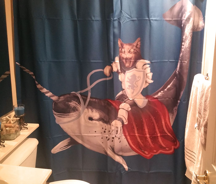She Said That I Could Choose The Shower Curtain If I Kept It Nautical