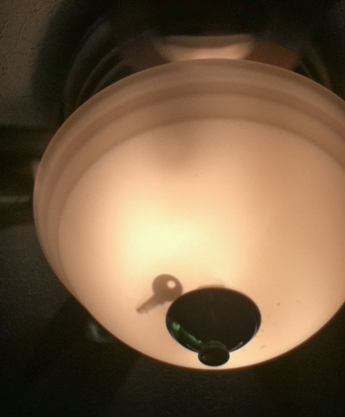 Just Turned On The Light For The First Time In My New House To Find This. What Does It Go To?