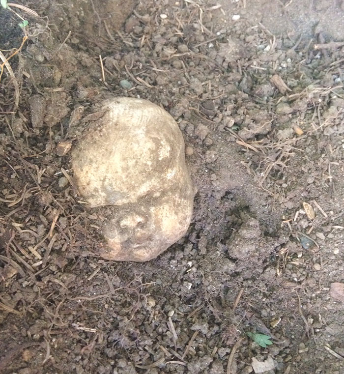 Found Seven Of These Concrete "Sculptures" In The Garden Of The House We Just Bought