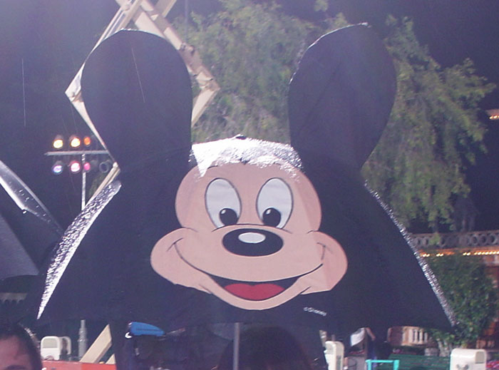 Disney Theme Park Employees Reveal Things They Love And Hate About It (54 Posts)