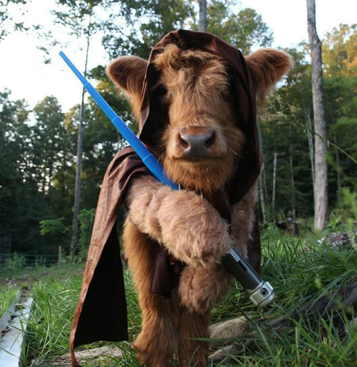 Baby James The Jedi Is Ready To Fight His Next Battle