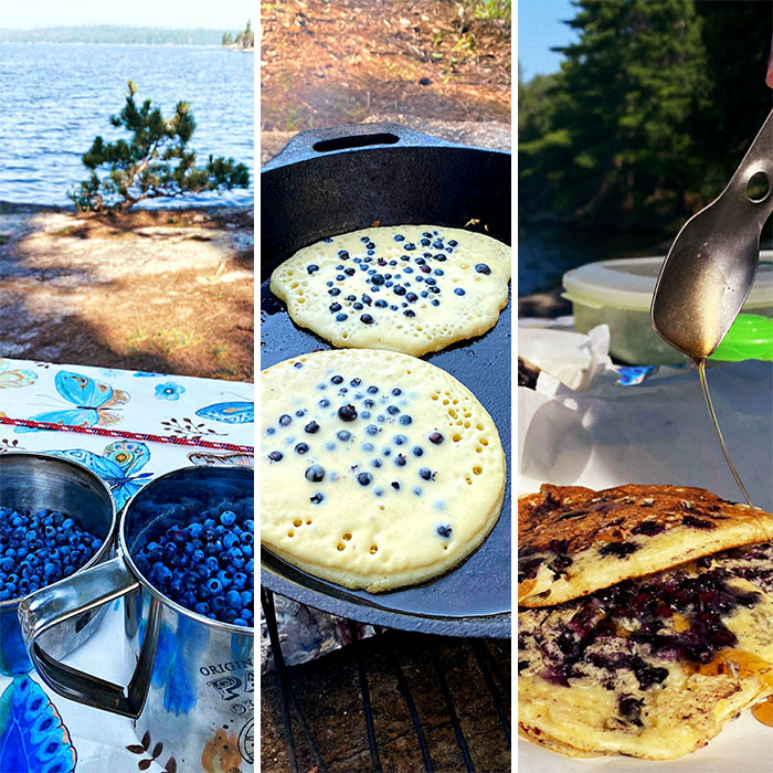 Went Camping. Found Berries. Made Pancakes