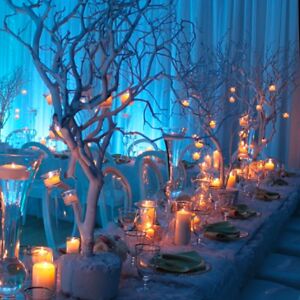 trixie-simsarian avatar