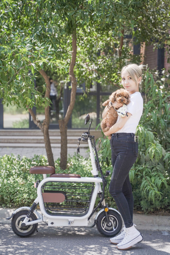 The Japanese Have Invented A Pet-Friendly E-Bike Called A Mopet, And It's Going To Make Their Transportation Much Easier The Japanese Have Invented A Pet-Friendly E-Bike Called A Mopet, And It's Going To Make Their Transportation Much Easier