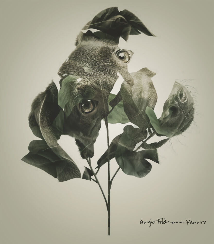 I Created This Artwork By Mixing Different Techniques: Double Exposure And Yuxt Of Layers.