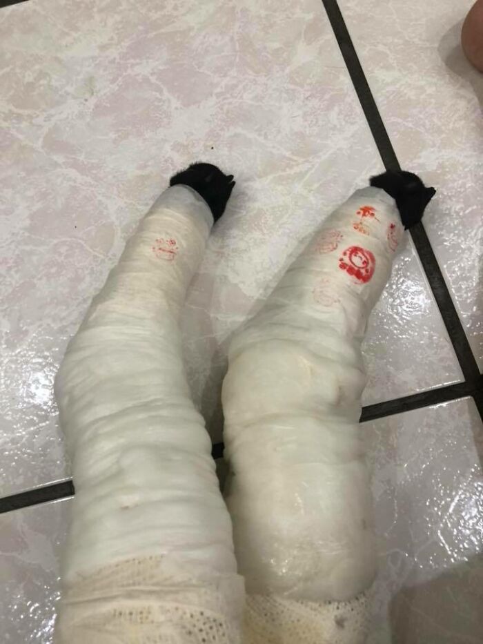 Woman Shows Her Selflessness When She Tries To Calm Her Dog During An Earthquake Woman Shows Her Selflessness When She Tries To Calm Her Dog During An Earthquake