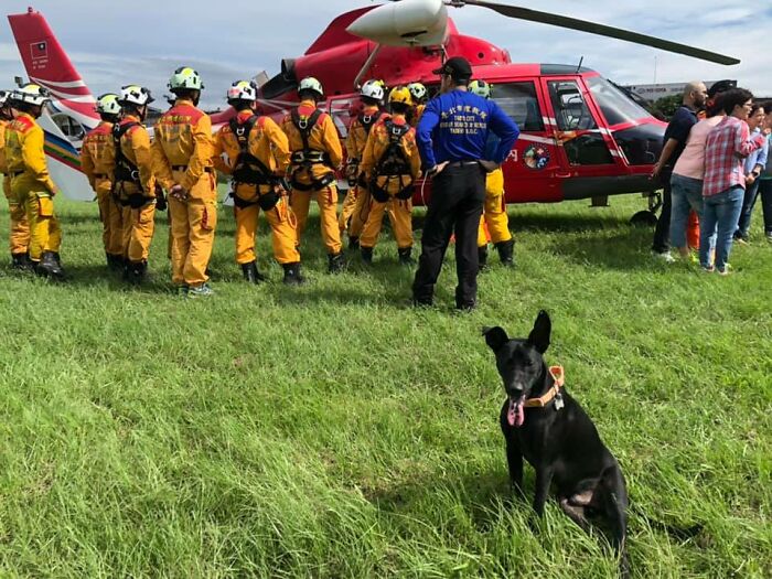 Woman Shows Her Selflessness When She Tries To Calm Her Dog During An Earthquake Woman Shows Her Selflessness When She Tries To Calm Her Dog During An Earthquake