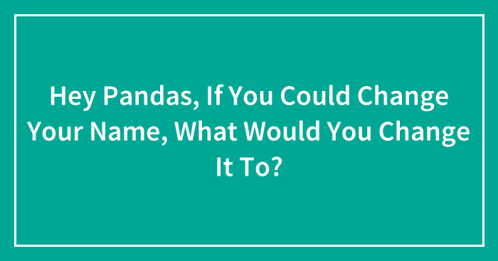 Hey Pandas, If You Could Change Your Name, What Would You Change It To?