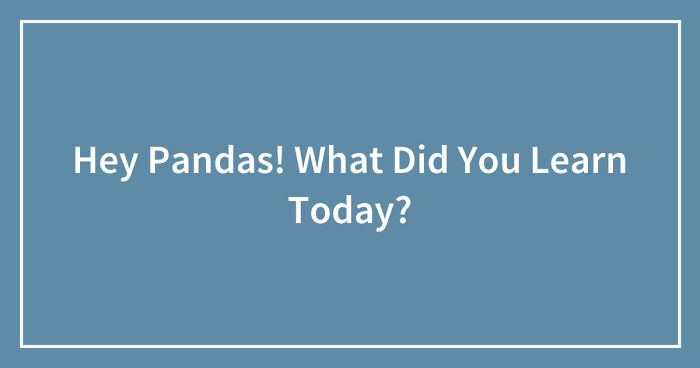 Hey Pandas! What Did You Learn Today? (Closed)