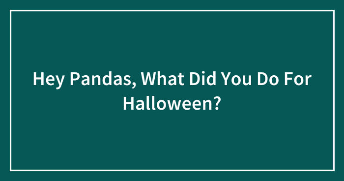 Hey Pandas, What Did You Do For Halloween? (Closed)