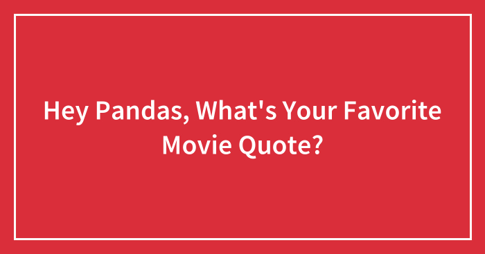 Hey Pandas, What’s Your Favorite Movie Quote?