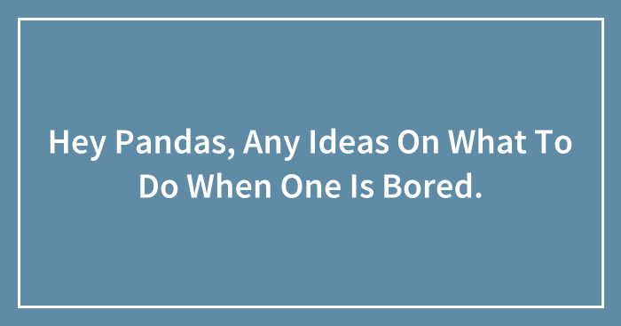 Hey Pandas, Any Ideas On What To Do When One Is Bored.