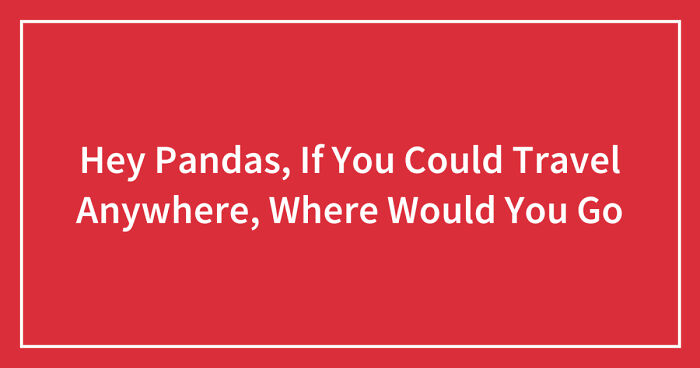 Hey Pandas, If You Could Travel Anywhere, Where Would You Go (Closed)