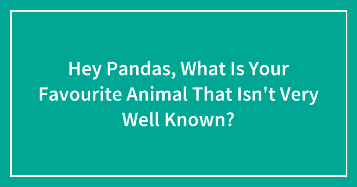 Hey Pandas, What Is Your Favourite Animal That Isn’t Very Well Known?