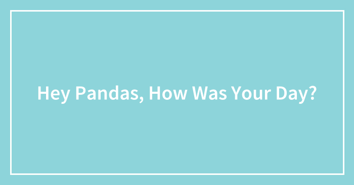 Hey Pandas, How Was Your Day?