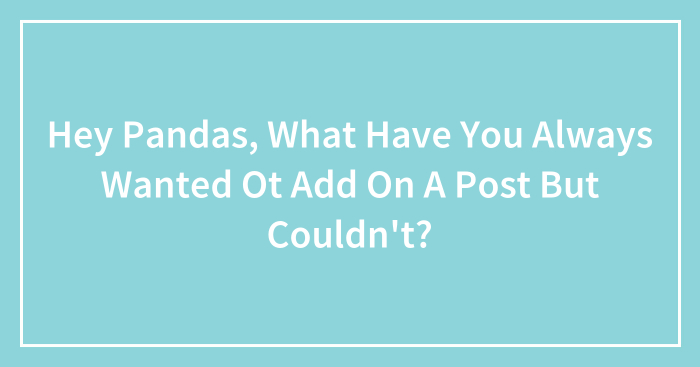 Hey Pandas, What Have You Always Wanted Ot Add On A Post But Couldn’t?