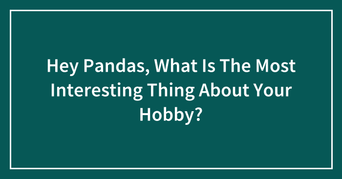 Hey Pandas, What Is The Most Interesting Thing About Your Hobby?