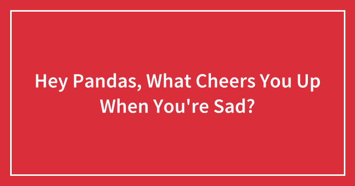 Hey Pandas, What Cheers You Up When You’re Sad?