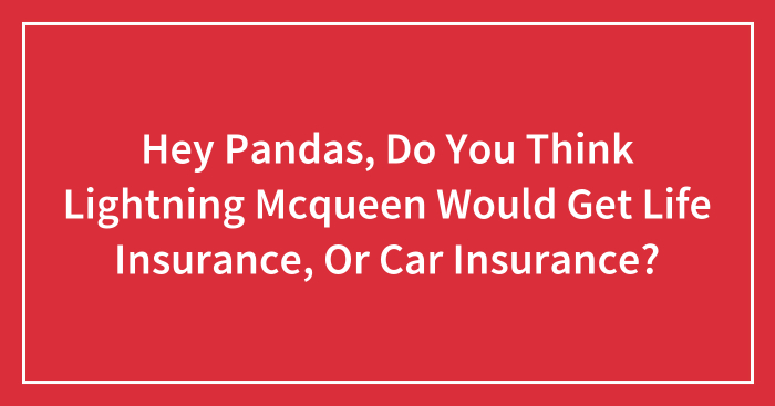 Hey Pandas, Do You Think Lightning Mcqueen Would Get Life Insurance, Or Car Insurance?