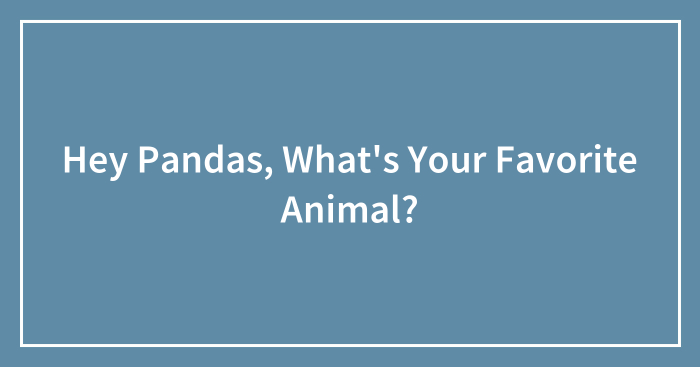 Hey Pandas, What’s Your Favorite Animal?