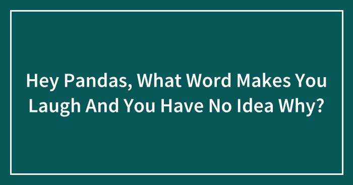 Hey Pandas, What Word Makes You Laugh And You Have No Idea Why? (Closed)