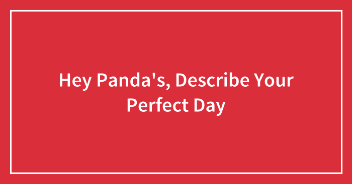 Hey Panda’s, Describe Your Perfect Day