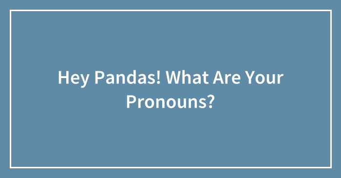 Hey Pandas! What Are Your Pronouns?