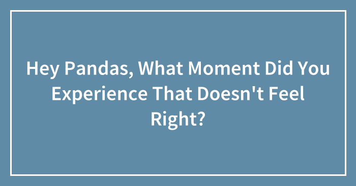 Hey Pandas, What Moment Did You Experience That Doesn’t Feel Right?