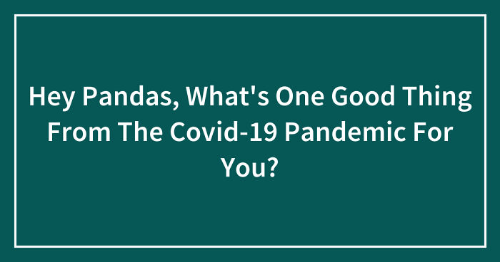 Hey Pandas, What’s One Good Thing From The Covid-19 Pandemic For You? (Closed)