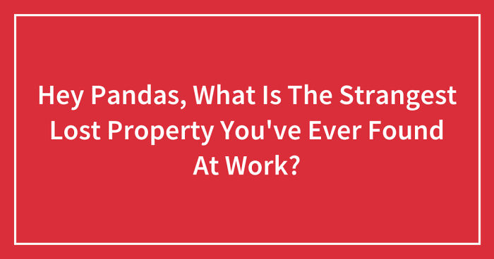 Hey Pandas, What Is The Strangest Lost Property You’ve Ever Found At Work? (Closed)