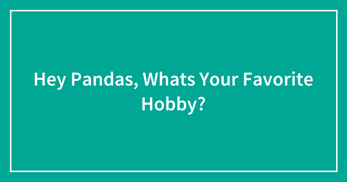 Hey Pandas, Whats Your Favorite Hobby?