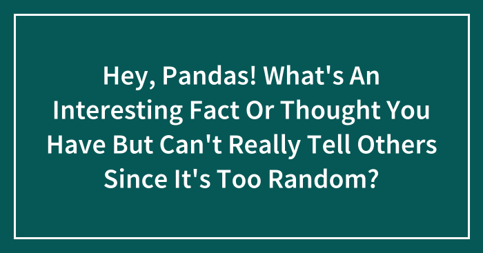 Hey, Pandas! What’s An Interesting Fact Or Thought You Have But Can’t Really Tell Others Since It’s Too Random? (Closed)