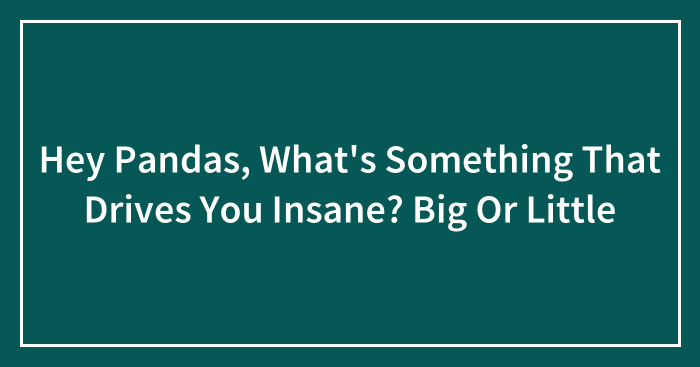 Hey Pandas, What’s Something That Drives You Insane? Big Or Little