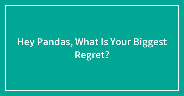 Hey Pandas, What Is Your Biggest Regret?