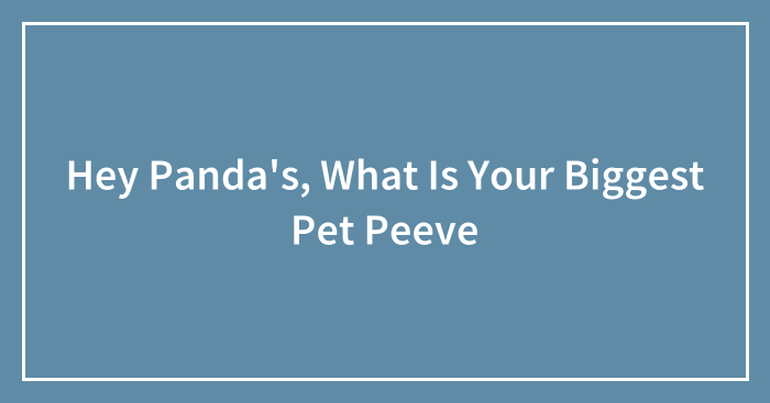 Hey Panda’s, What Is Your Biggest Pet Peeve