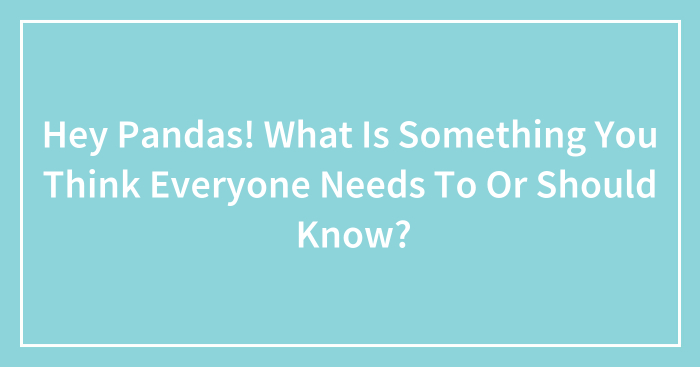 Hey Pandas! What Is Something You Think Everyone Needs To Or Should Know?