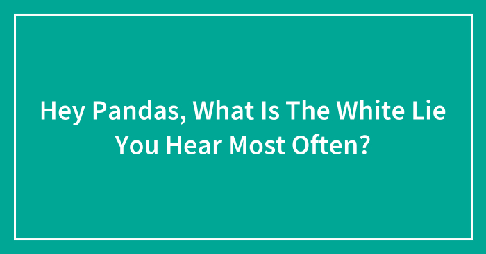Hey Pandas, What Is The White Lie You Hear Most Often?