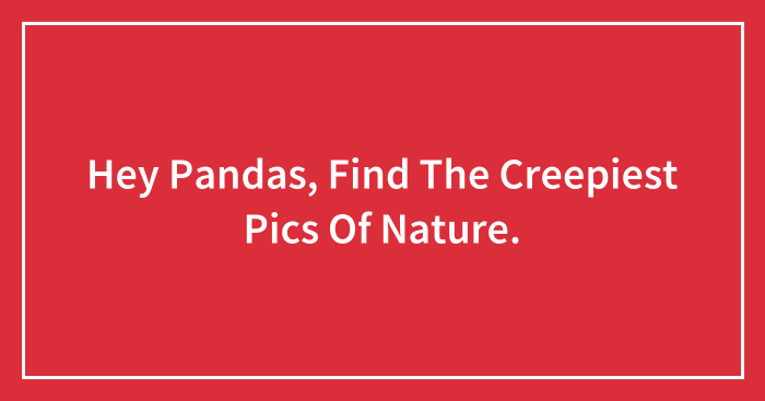 Hey Pandas, Find The Creepiest Pics Of Nature.