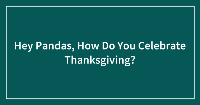 Hey Pandas, How Do You Celebrate Thanksgiving? (Closed)