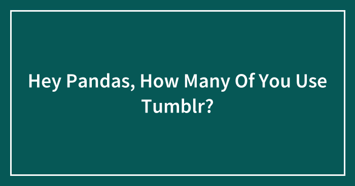 Hey Pandas, How Many Of You Use Tumblr?