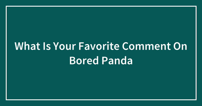 What Is Your Favorite Comment On Bored Panda