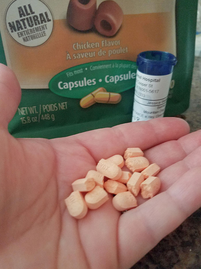 Opened My Dog's Prescription And Discovered The Vet Tech Broke The Pills In Half For Us To Make Sure We Didn't Accidentally Overdose Him