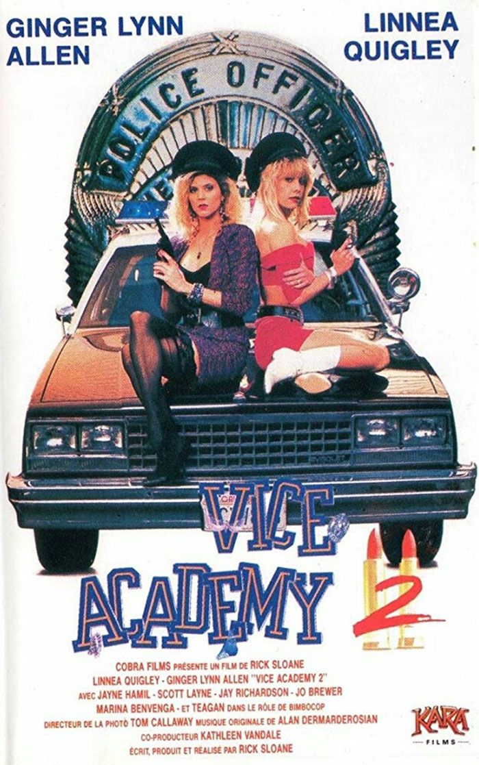 Poster of Vice Academy Part 2 movie 