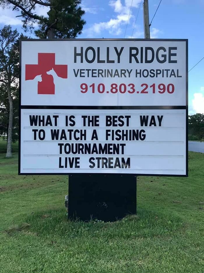 60 Of The Funniest Outdoor Signs From This Vet Clinic To Make You Crack A  Smile - Success Life Lounge