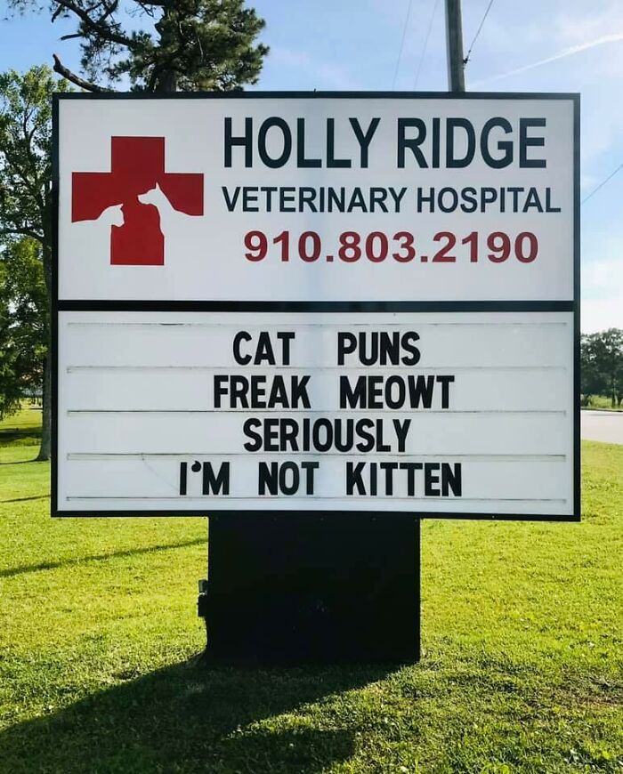 30 Of The Funniest Outdoor Signs From This Vet Hospital To Make You Crack A  Smile | Bored Panda