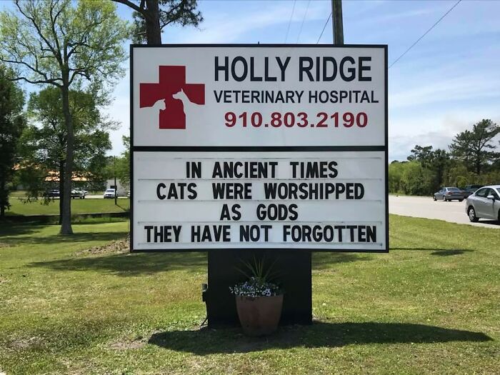 Funny-Outdoor-Signs-Holly-Ridge-Veterinary-Hospital