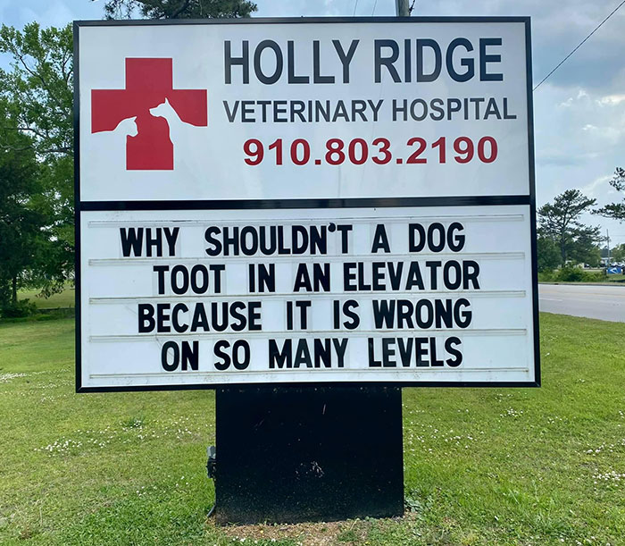 30 Of The Funniest Outdoor Signs From This Vet Hospital To Make You Crack A Smile